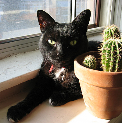 Mina in window