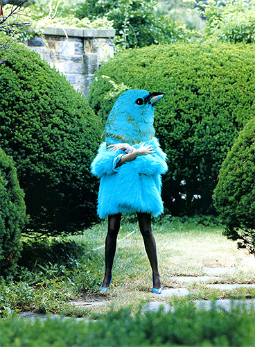 Bird Lady (blue) montage